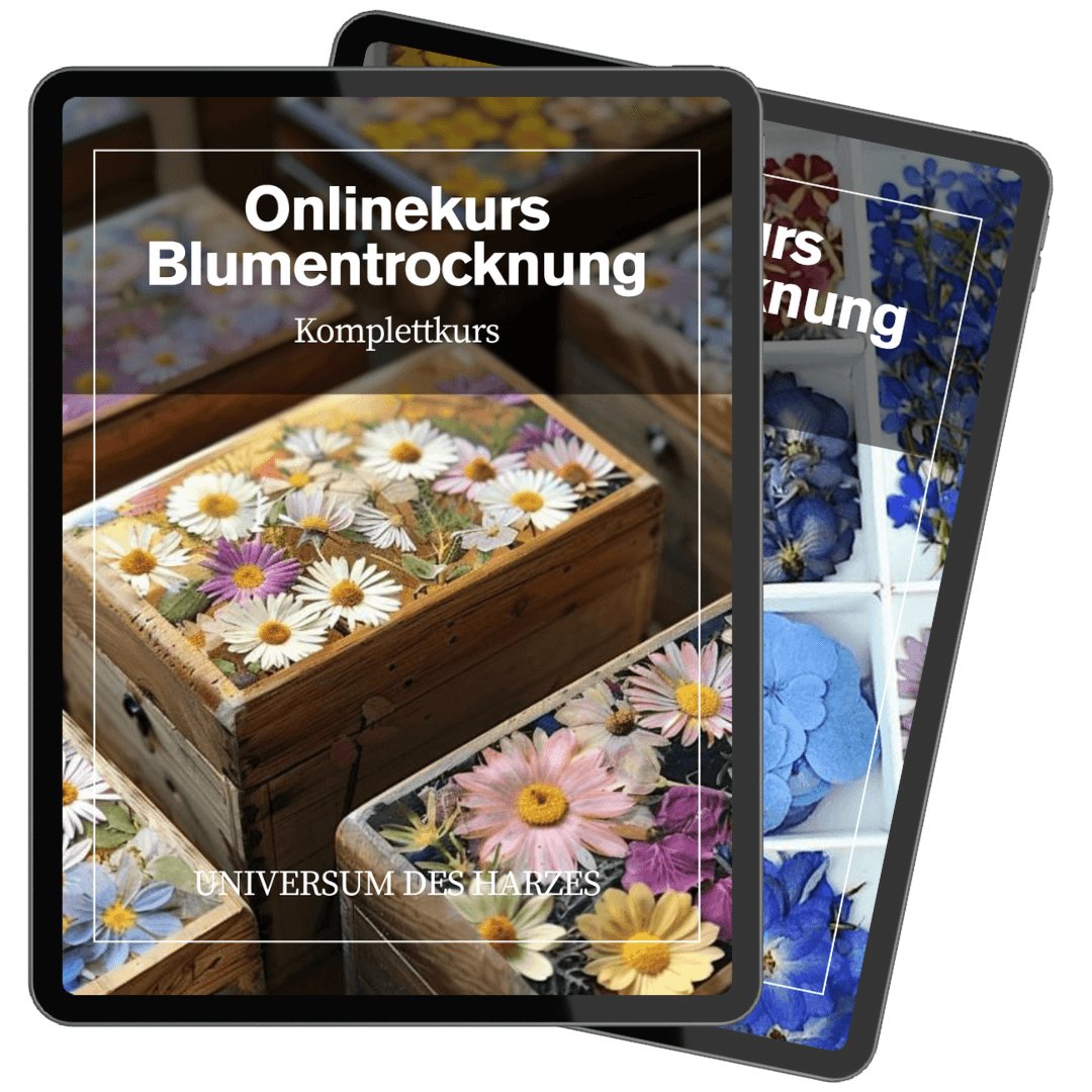 Kursmaterial zum Trocknen von Blumen